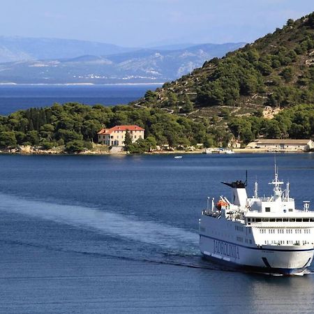 Apartments Zoki - Great Location Close To The Sea Vis Exteriör bild